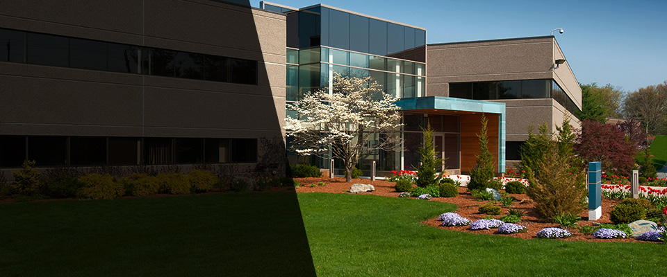 East Rutherford Landscapers