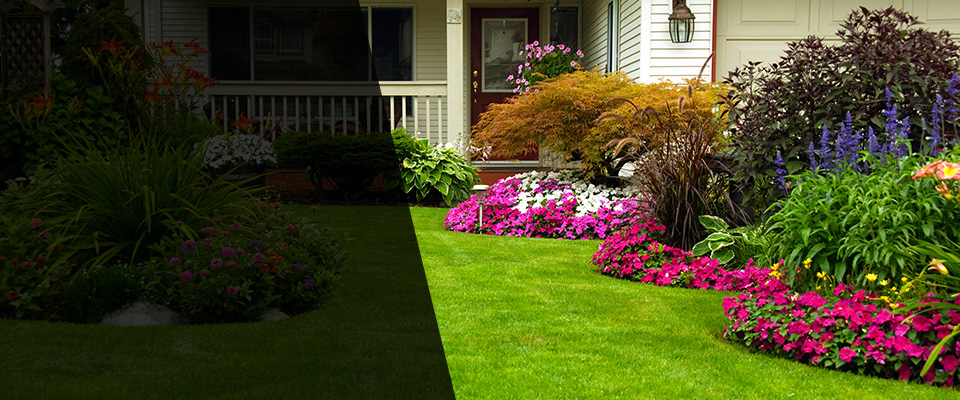 East Rutherford Landscapers