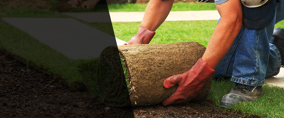 East Rutherford Landscapers